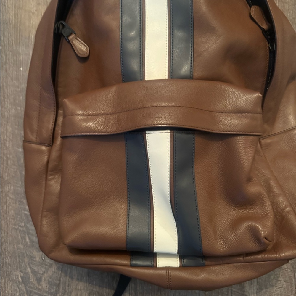 Coach Leather Striped Backpack